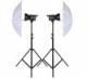 Studioset 2x Dauerlichtlampe Daylight 250 S / Stativ / Schirm