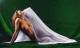Fotostudio Hintergrund 6m x 2,5m, dunkelgr�n