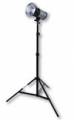 300Ws Studioblitz X-300, Studioblitzlampe mit Blitzstativ