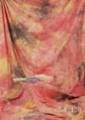 Fotostudio Hintergrund Spätherbst strukturiert, 6m lang x 3m breit, Batik, W126