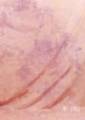 Fotostudio Hintergrund roseefarben strukturiert, 6m lang x 3m breit, Batik, W182