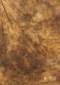 Fotostudio Hintergrund braun strukturiert, 6m lang x 3m breit, Batik, W225