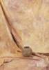 Fotostudio Hintergrund goldbraun strukturiert, 6m lang x 3m breit, Batik, W129